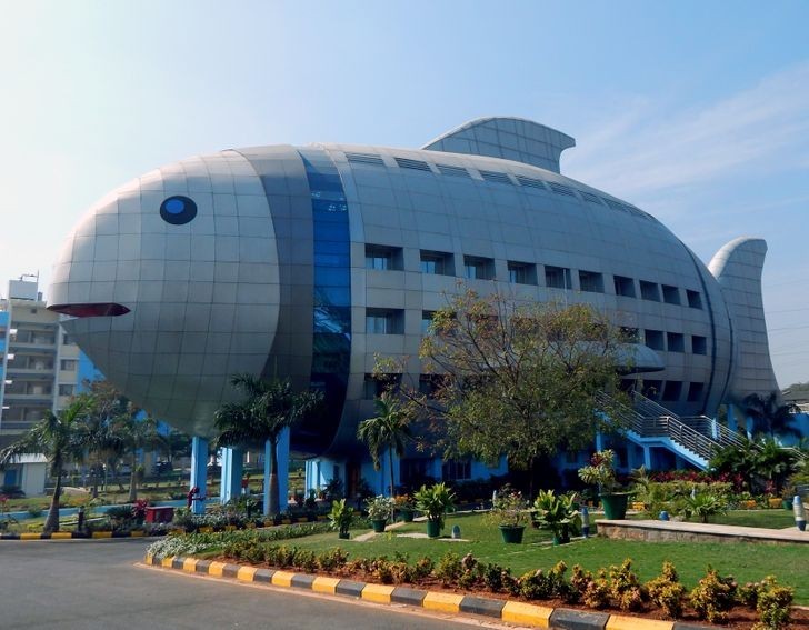 Budynek w kształcie ryby, Indie