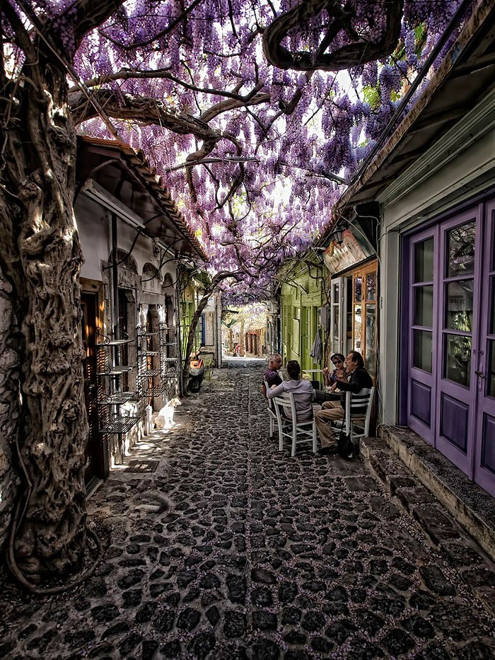 Ulica w Mithymnie na wyspie Lesbos, Grecja