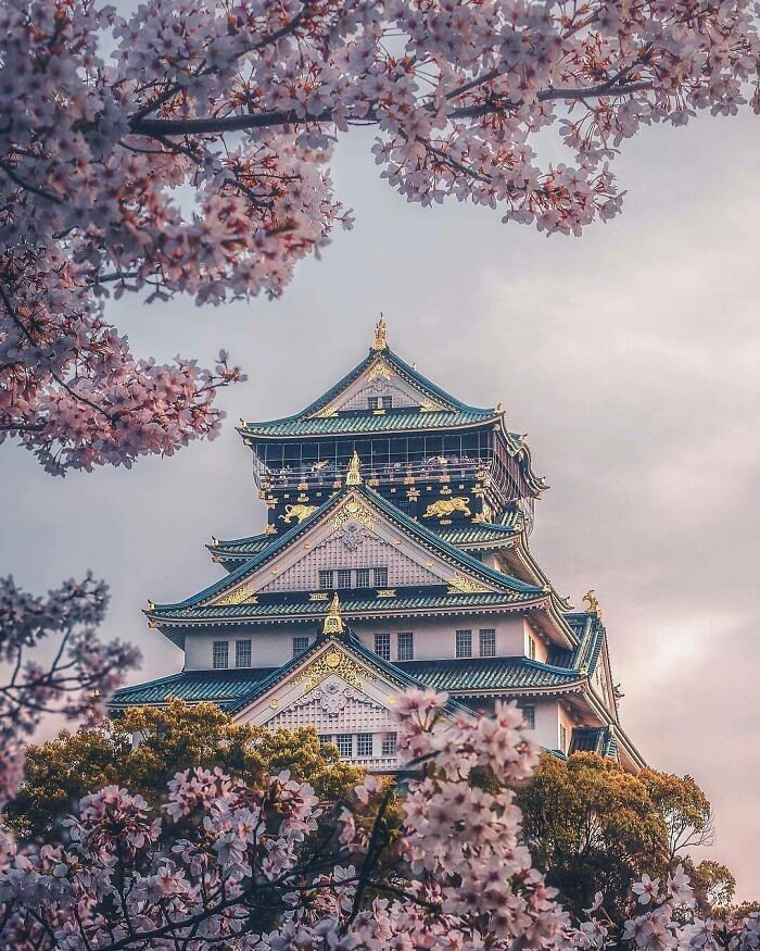Zamek Osaka, Japonia