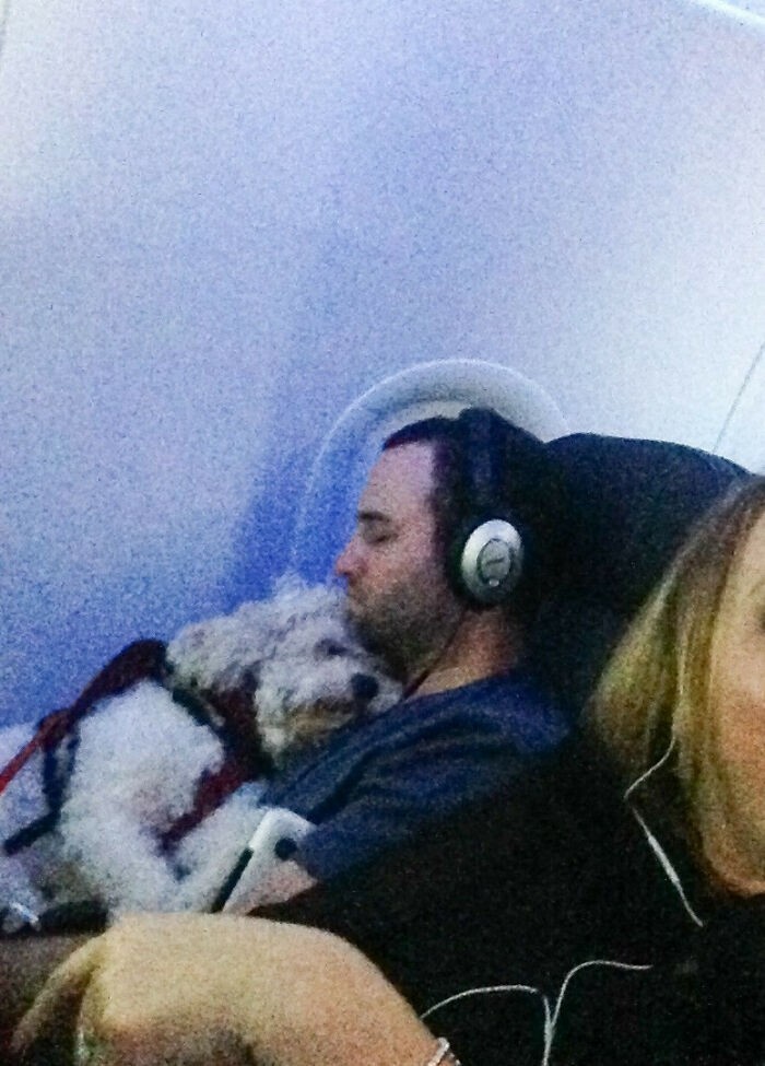 14. "Lecę samolotem wspólnie z tym facetem i jego psem. Śpią tak od dwóch godzin."
