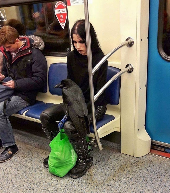 3. Dziewczyna i jej kruk w metrze