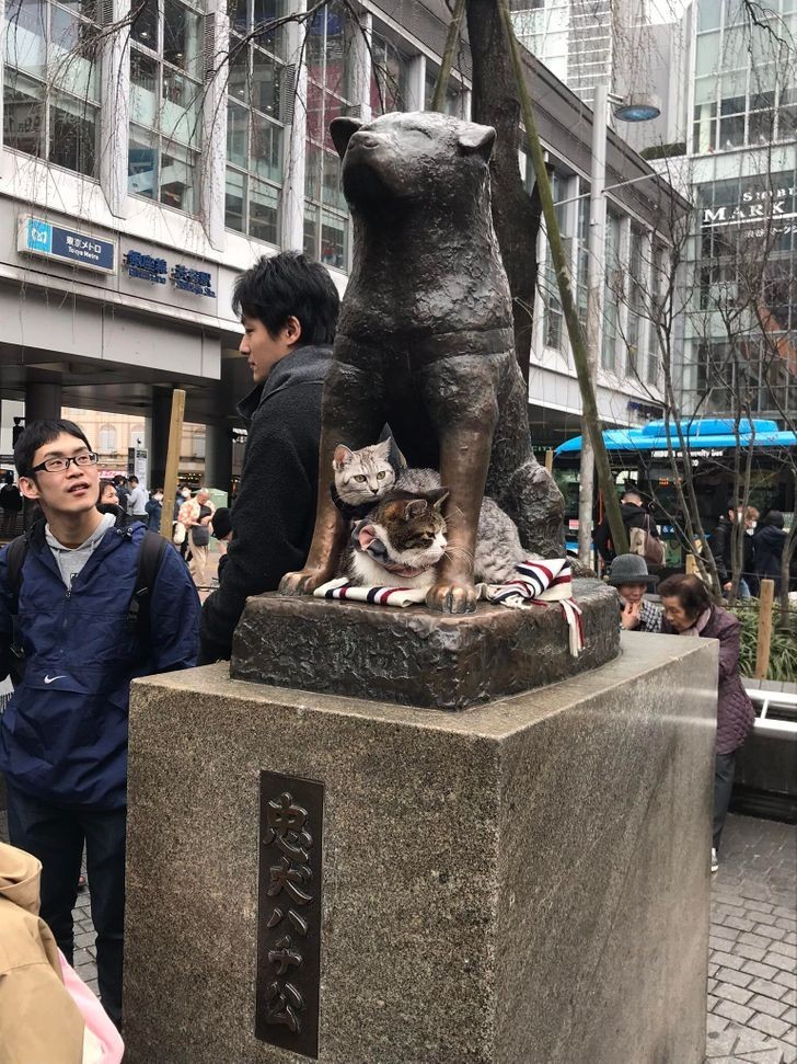 10. Hachiko statula su draugais, kurie palaiko jam kompaniją