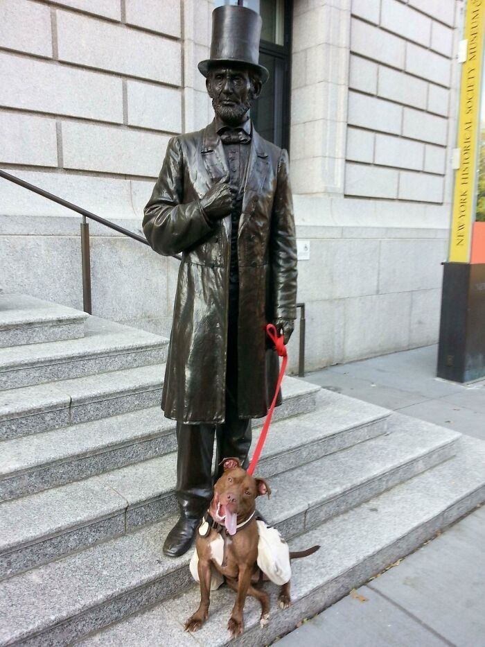 Abraham Lincoln: Dog Walker
