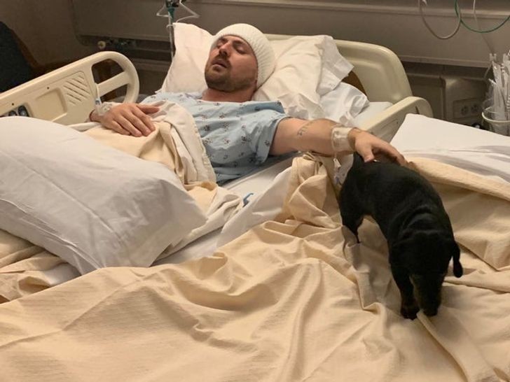 "Szpital pozwolił mojemu psu dotrzymać mi towarzystwa po operacji mózgu."
