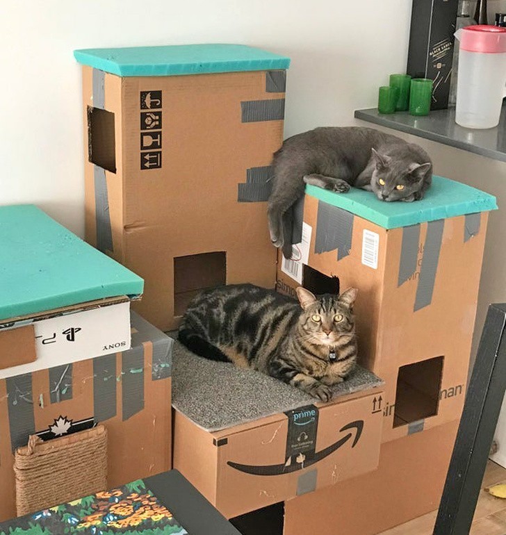 4. "Zbudowałem wieżę z kartonów dla moich kotów. Chyba im się spodobała."