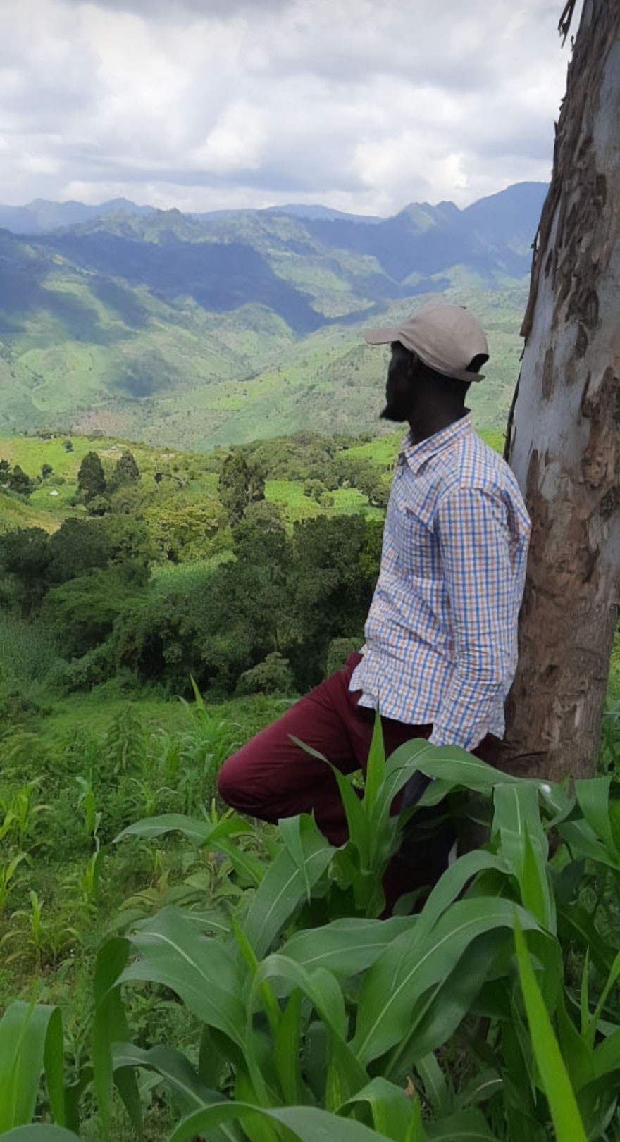 "Widok z ogrodu mojego dziadka w Kenii"