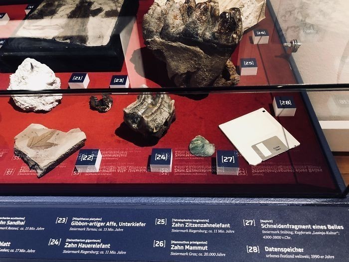 "Nasze lokalne muzeum dodało dyskietkę do sekcji ze skamielinami."