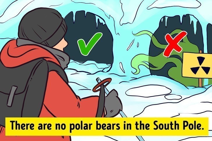 3. Na Biegunie Południowym nie ma niedźwiedzi polarnych.