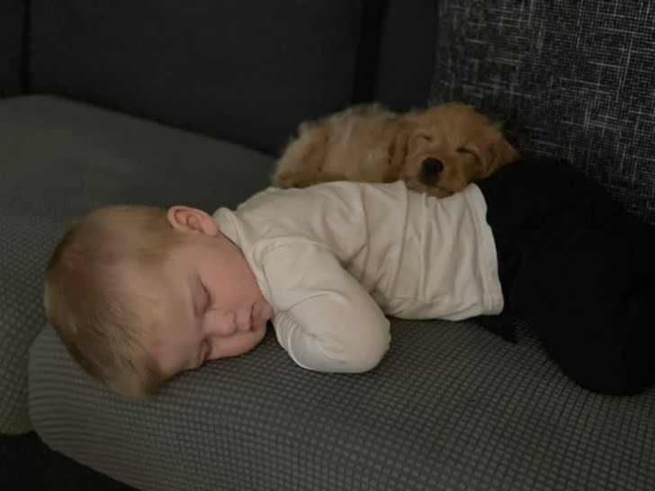 "Mój szczeniak i niemowlak śpiący razem"