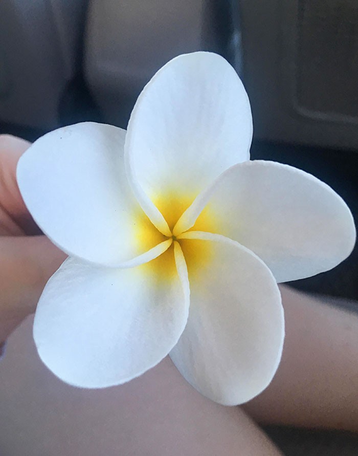 "Kwiat, który znalazłam na Hawajach kilka miesięcy temu"