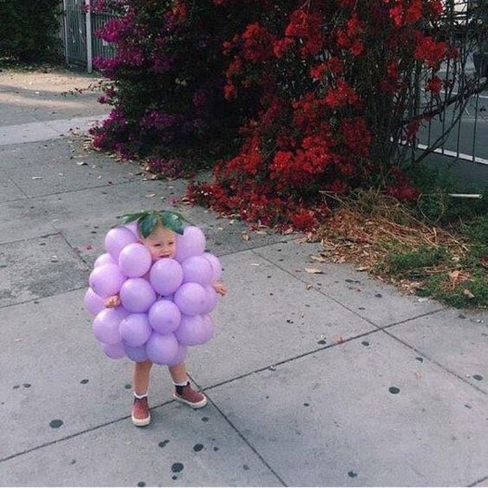  Jestem winogronem 
