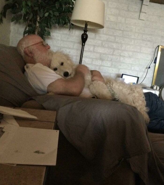 "Mój tata przeżywał stresujący okres, więc sprawiliśmy mu psa, mając nadzieję, że pomoże. Patrząc na to zdjęcie, chyba się udało."
