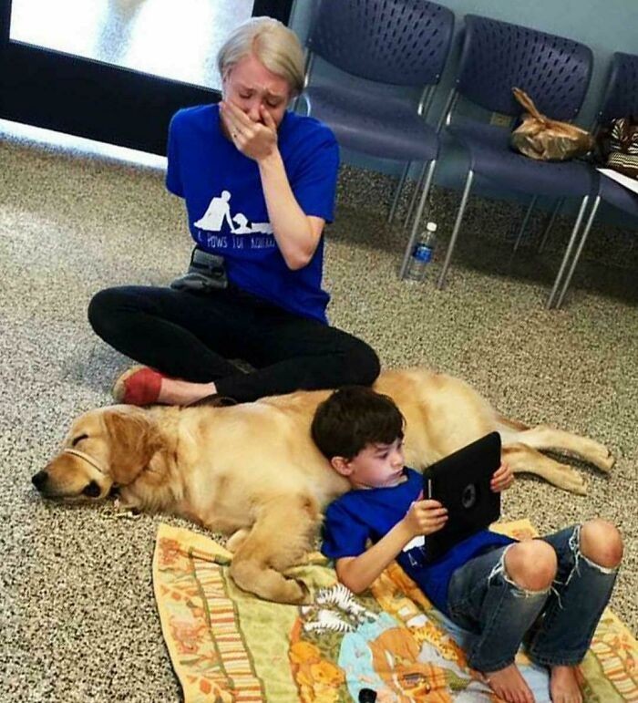 "Autystyczny chłopiec, którego nie można dotknąć, nawiązał relację z psem terapeutycznym, wywołując u jego mamy łzy szczęścia i nadziei."