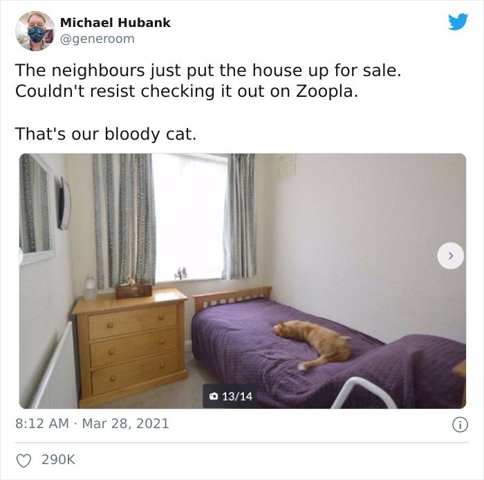 1. Sąsiedzi właśnie wystawili dom na sprzedaż. Nie mogłem się oprzeć i sprawdziłem go na Zoopli. To nasz cholerny kot.