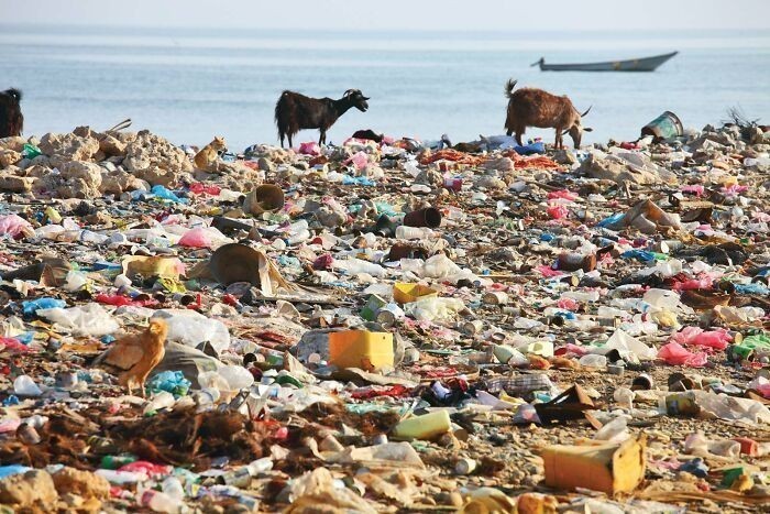 4. Plastik trafiający na plaże 