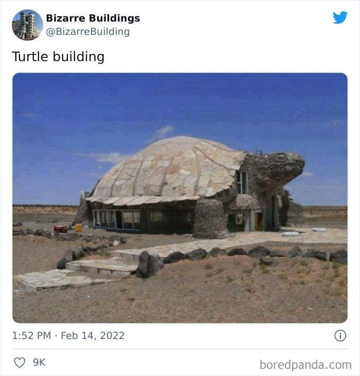"Budynek w kształcie żółwia"