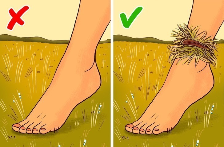 3. Zbierz poranną rosę dzięki opaskom z trawy.