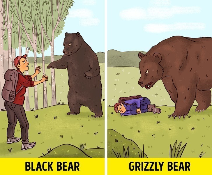 6. Udawaj martwego w przypadku ataku dużego zwierzęcia, takiego jak niedźwiedź grizzly.