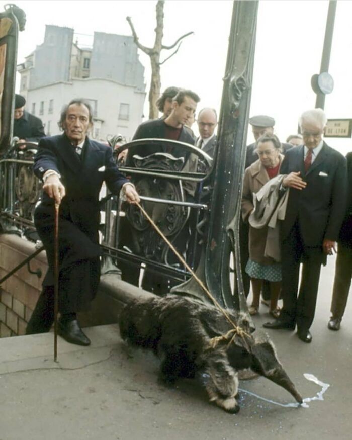 Salvador Dali wyprowadzający swojego mrówkojada na spacer, Paryż, 1969