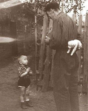 Mały chłopiec na moment przed otrzymaniem psa na urodziny, 1955