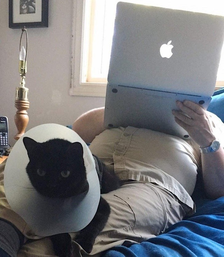 12. "Przyniosłam do domu kotę ze specjalnymi potrzebami. Tata powiedział, że może zostać najwyżej tydzień. 2 lata później robi się zazdrosny gdy kotka siada u kogoś innego na kolanach."