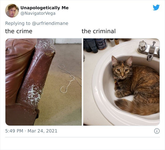 Zbrodnia - przestępca