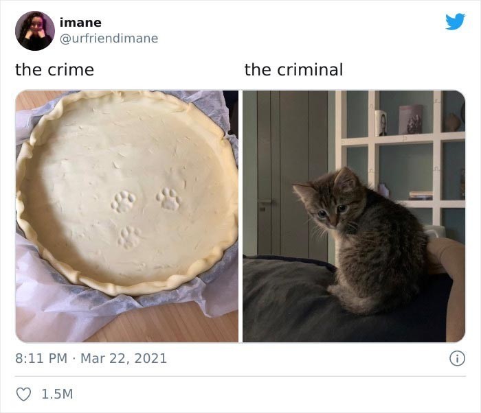 Zbrodnia - przestępca