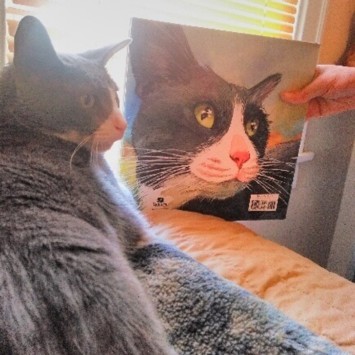 "Dostałam tę książkę jako prezent i znalazłam mojego kota na odwrocie."