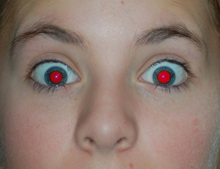 1. Czerwony kolor oczu na zdjęciach jest efektem dużej ilości naczyń krwionośnych znajdującej się w głębi oka