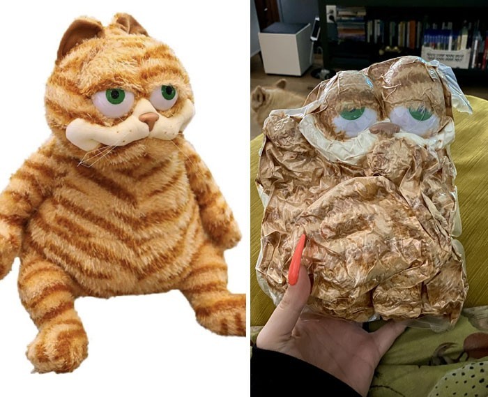 "Kupiłam Garfielda, który i tak wyglądał już przerażająco, a przysłali mi go jeszcze zapakowanego próżniowo." 