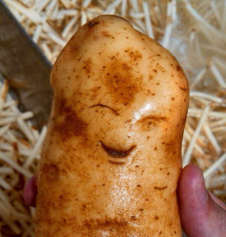 "Najszczęśliwszy ziemniak, jakiego widziałem"
