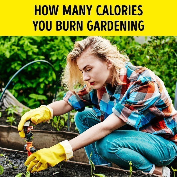 20. Ile kalorii spalisz poprzez prace ogrodowe
