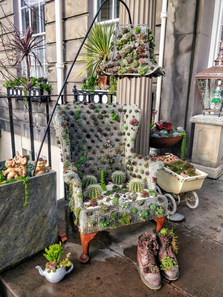 Idealna instalacja do hodowania kaktusów