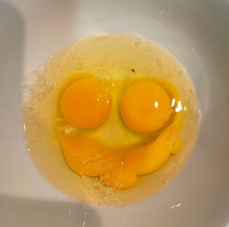 "Te jajka cieszą się, że mnie widzą."
