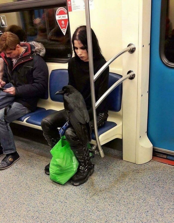 "Owszem, możesz myśleć, że jesteś gotem, ale jeśli nie jeździsz metrem ze swoim własnym krukiem, równie dobrze możesz schować swój czarny płaszcz do szafy i pójść na plażę."