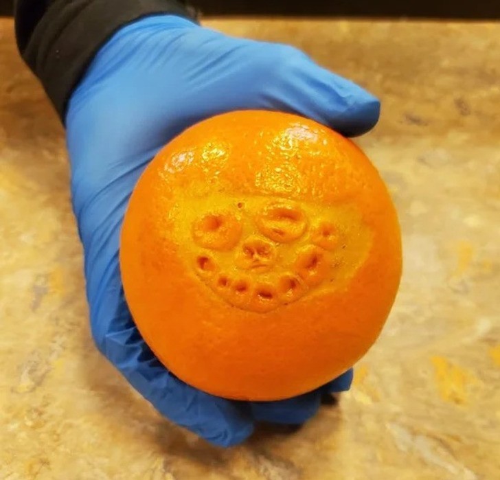 "Szczęśliwa pomarańcza"