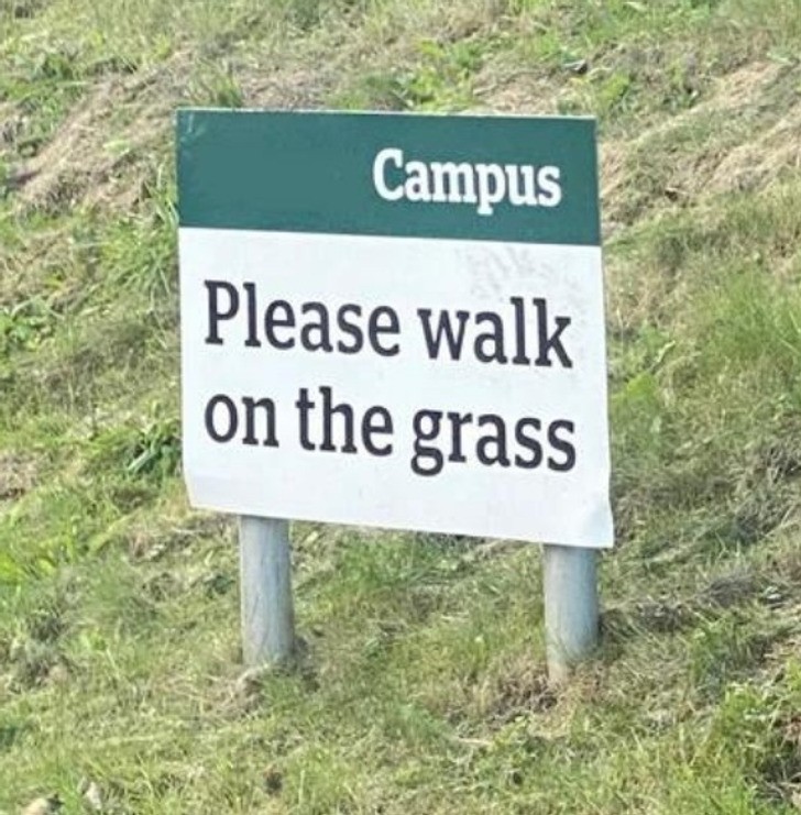 "Prosimy chodzić po trawniku."