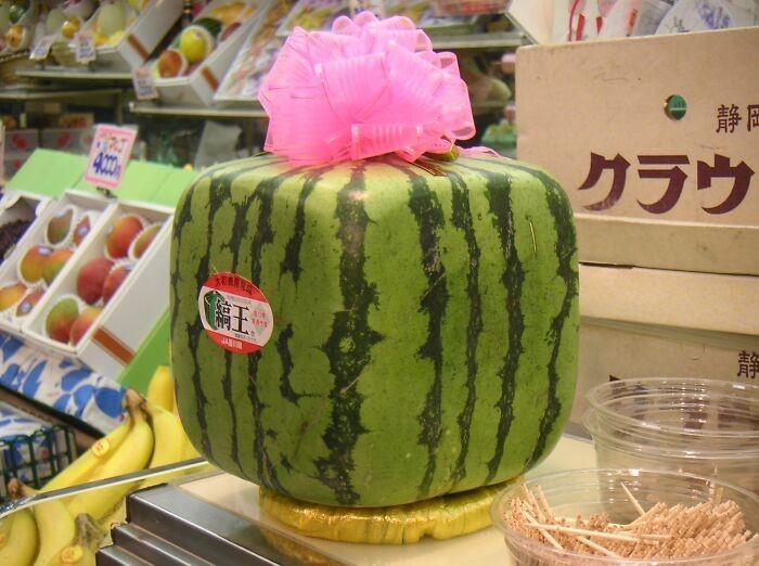 14. W japońskich sklepach możesz kupić arbuzy w kształcie kostki.
