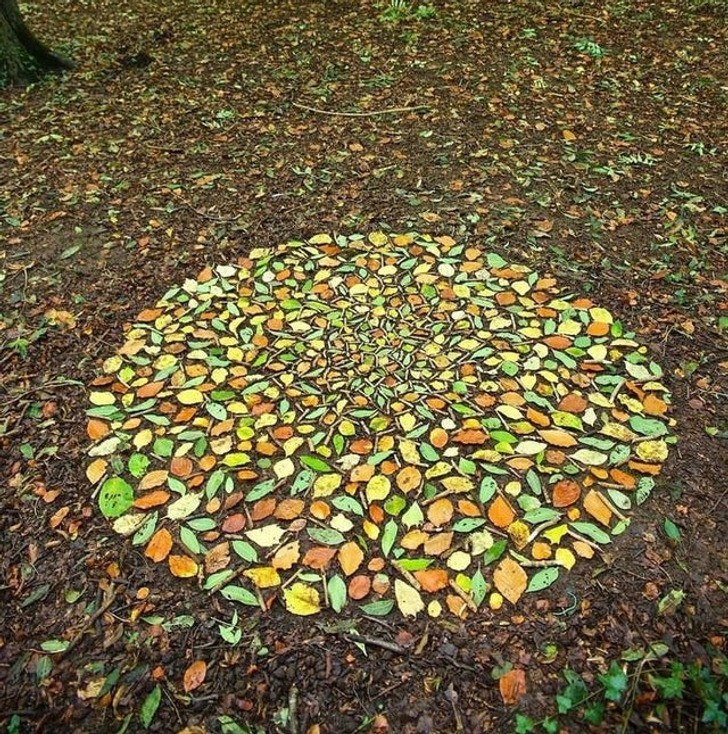 "Mozaika z jesiennych liści"