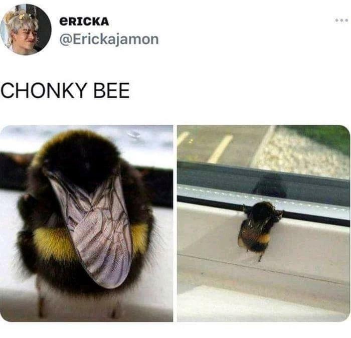 Potężna pszczoła