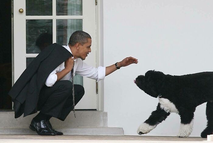 15. Prezydent kochający swojego psa