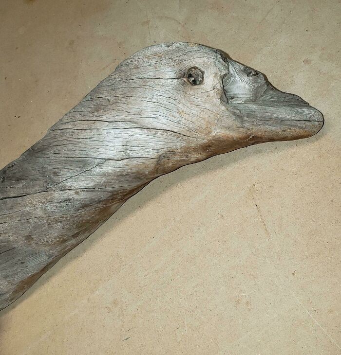 Kawałek drewna przypominający gęś