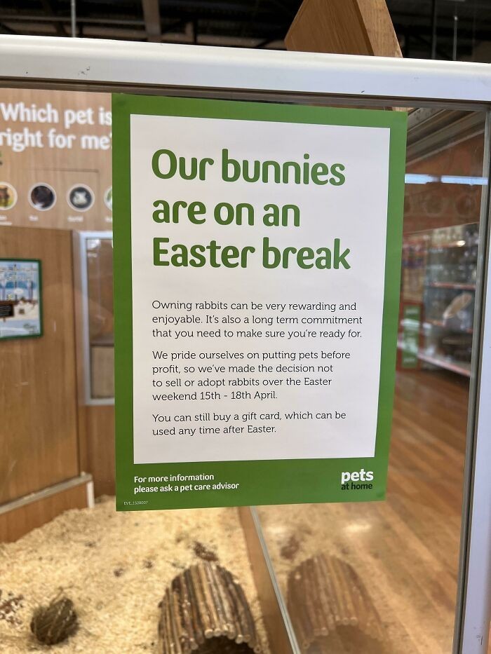 Ten sklep zoologiczny nie sprzedaje królików w Wielkanoc.