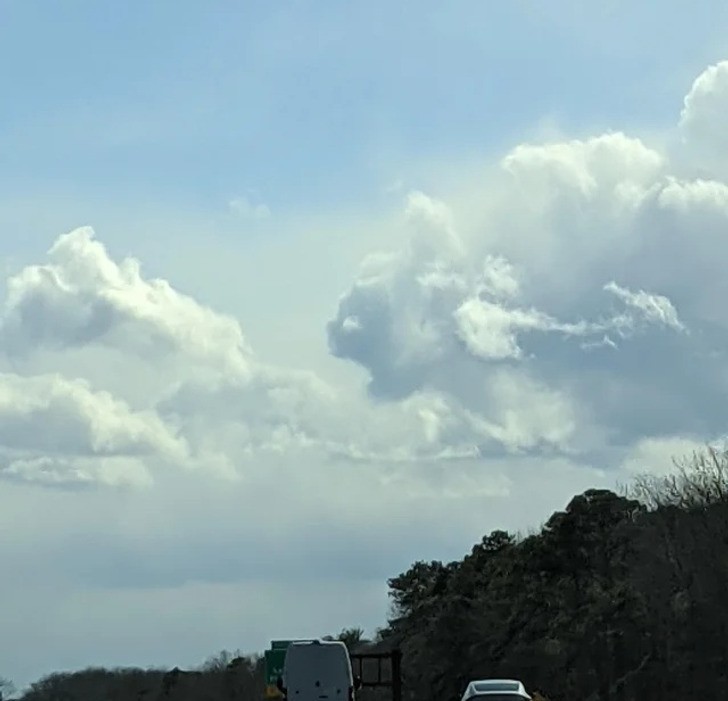 "Zobaczyłam dziś chmurę w kształcie kota."
