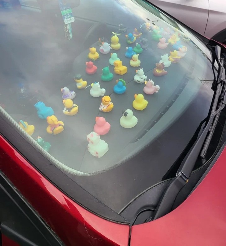 "Kolekcja gumowych kaczuszek na desce rozdzielczej auta"