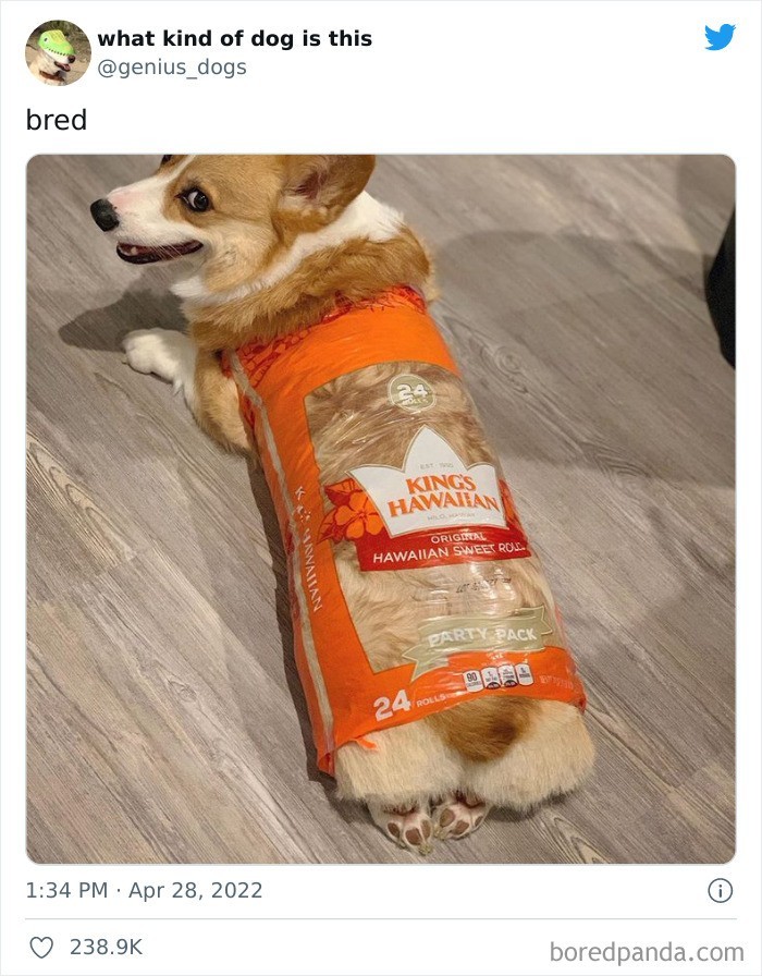 Dziwny chleb 