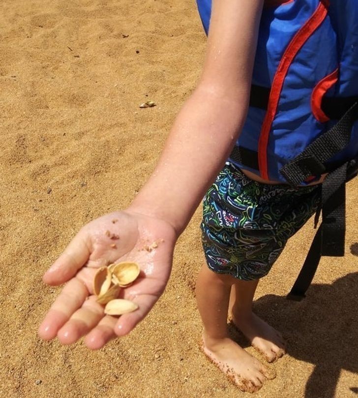 1. "Syn znalazł muszelki podczas pierwszej wycieczki na plażę. Nie miałam serca, by mu powiedzieć..."