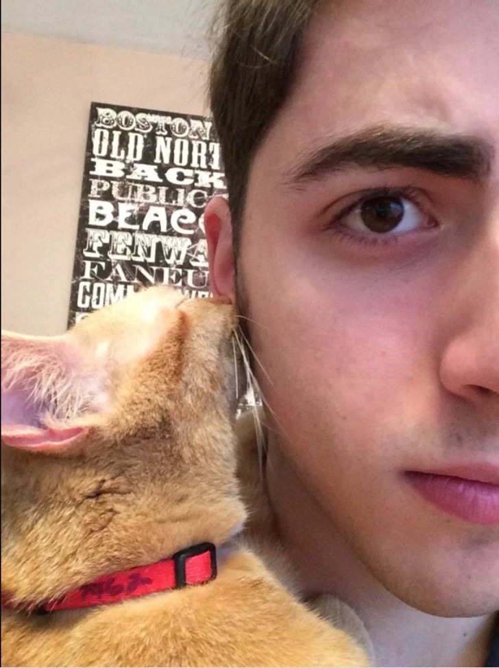 "Moja kotka myśli, że moje ucho to sutek jej mamy."