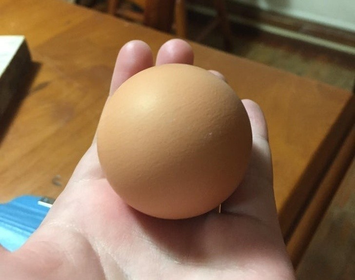 6. Idealnie okrągłe jajo
