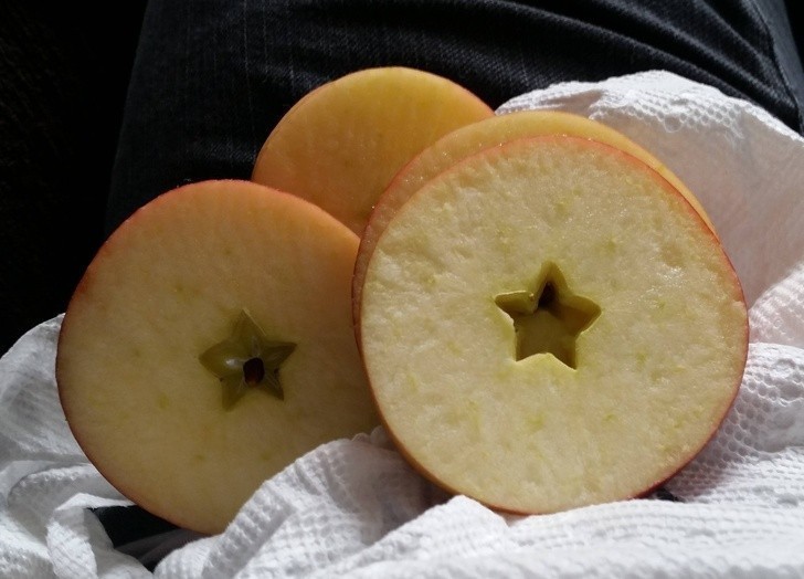 9. Gniazdo jabłka w kształcie gwiazdy